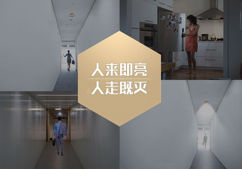 智能家居研發(fā) 聚焦實(shí)用價(jià)值，規(guī)避“無(wú)用創(chuàng)新”陷阱